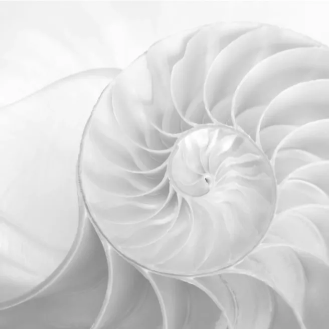 Альтернативное описание